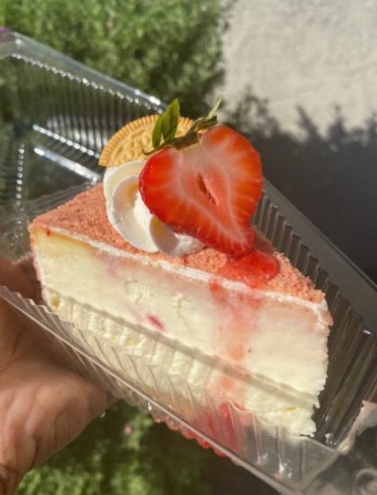 Strawberry Shortcake Cheesecake Tutorial